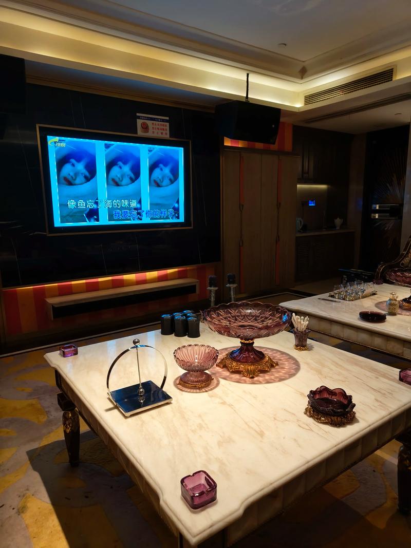 永州商务ktv计时方式-双牌县ktv预订